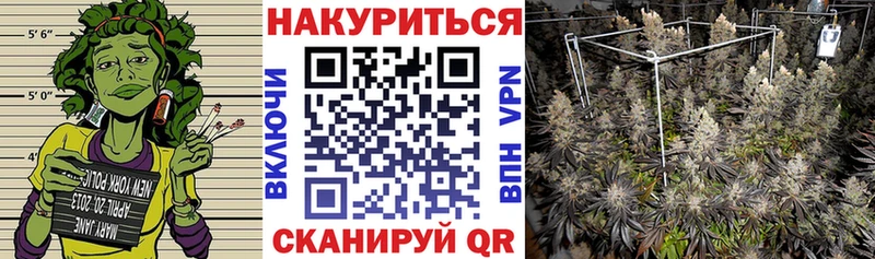 Купить закладки  Лосино-Петровский  Бошки марихуана конопля 